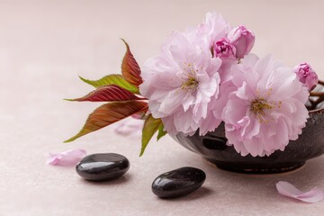Delicate pink cherry blossoms with black stones on soft background