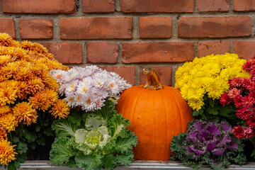 pumpkins and flowers