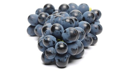 Beautiful bunch of fresh concord grapes on a bright white backdrop