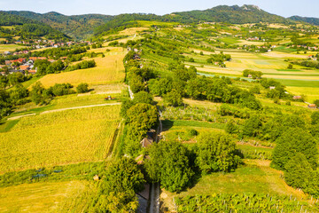 Obraz premium Beautiful green rural landscape in Kalnik vineyard area, Prigorje region, Croatia 