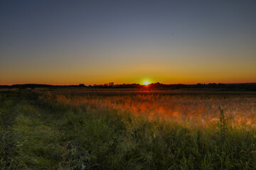 A stunning summer sunset illuminating golden fields, creating a magical landscape. This photograph conveys a sense of tranquility and idyll, perfectly suited for themes of nature, travel, and ecology.