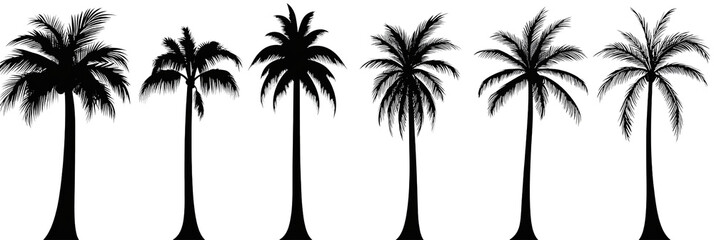 Fototapeta premium A series of palm trees are shown in black and white
