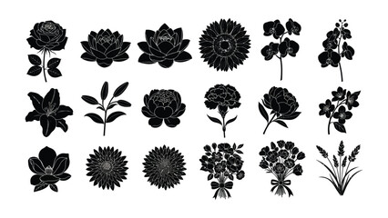 Flower Silhouette: a collection of monochrome floral silhouettes with many varieties, showcasing the beauty of the natural forms for artistic designs or graphic projects.