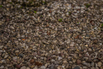 A detailed view of assorted gravel stones in various earthy tones, commonly used for landscaping, construction, or pathways.