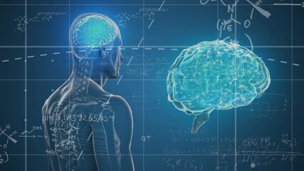 Animation of brain in human body and brain with mathematical equation over abstract background - Powered by Adobe