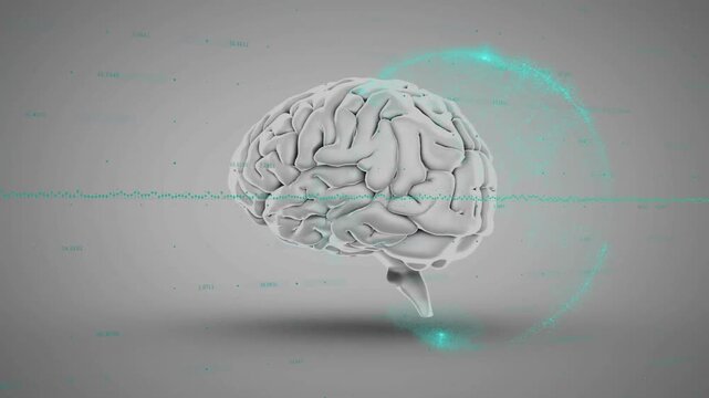 Animation of graph and globe over rotating human brain against gray background