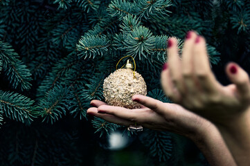 Hands Holding Decorative Ornament Amid Evergreen Branches for Holiday Season