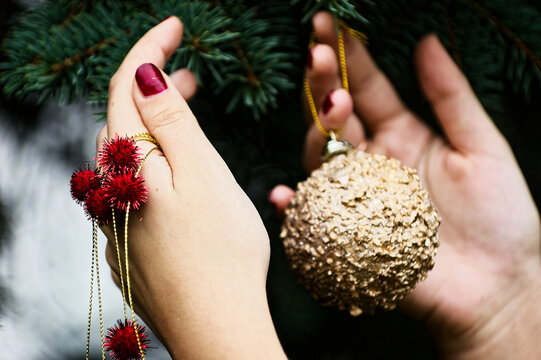 Woman's Hands Decorating Christmas Tree with Gold Ornament and Red Baubles