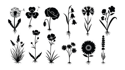 Floral Symphony in Monochrome: A collection of intricately crafted botanical illustrations featuring a symphony of wildflowers, showcasing their elegant silhouettes.