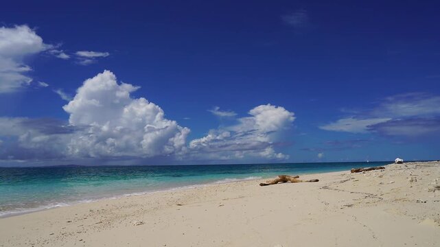 沖縄の美しいビーチ