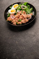 Tuna salad egg, arugula, vegetables tasty snack fresh delicious gourmet food background on the table rustic food top view copy space keto and paleo diet food pescetarian diet