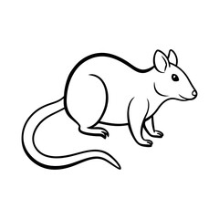 Possum Outline Vector on White Background