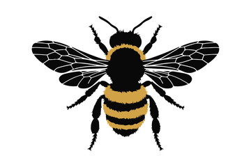 Detailed illustration of a black and yellow striped bee