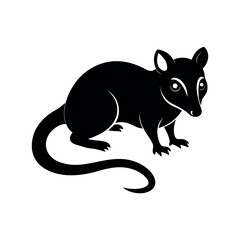 Possum Black Silhouette Vector on White Background