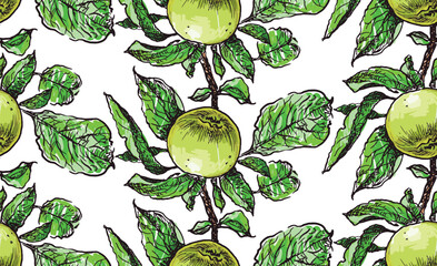 Ripe green apples on branch with leaves, sketches, seamless pattern, vector, wallpaper, paper, fabric, hand drawn, white background