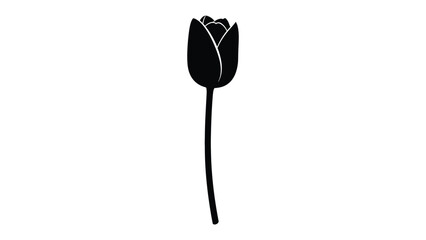 Elegant Silhouette of Tulip: A minimalist, grayscale silhouette of a solitary tulip stands tall. The artwork embodies elegance, the beginning of bloom.