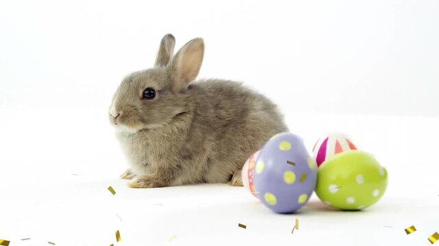 Animation of confetti over rabbit with easter eggs on white background at easter