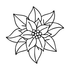 Downloadable poinsettia flower outline vector illustration for coloring page and graphic design use