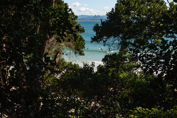 Scenic view of Byron Bay beach framed by coastal vegetation, with turquoise ocean and mountains in the background