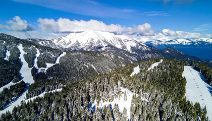 Aerial View of Snow-Covered Mountains and Ski Slopes with Pine Forests.