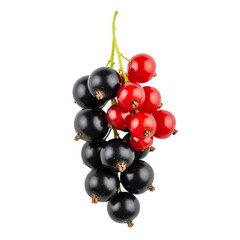 A detailed and pristine professional-grade visual of a cluster of blackcurrants and redcurrants on their stems, a unique berry combination isolated on transparent background.