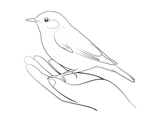 bird on hand in one line art drawing on white background