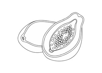 continuous line art drawing of exotic papaya jpg on white background