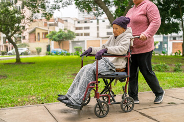 Obraz premium Nurse pushing elderly woman in wheelchair in park