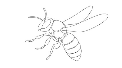 continuous one line art eps drawing of flaying bee simple