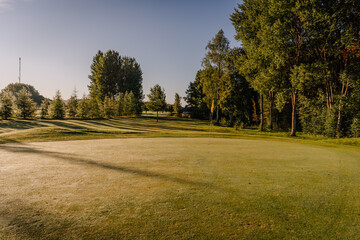 A golf green with a yellow flag under clear blue skies, surrounded by tall trees and morning shadows stretching across the fresh grass.