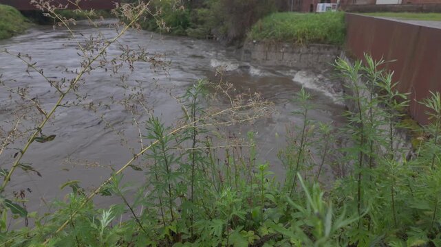 Fiume in piena