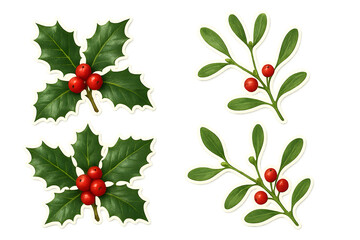 Two different types of red berries are shown on a white background