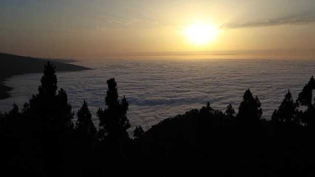 Beautiful Sunset with Tree Silhouette and Cloud in Tenerife. Outdoor Sun in Mirador de Chipeque during Evening in Canary Island.