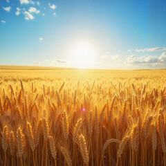 Naklejka premium Expansive field of golden wheat at sunset representing abundance and tranquility.
