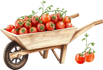 Wheelbarrow full of tomatoes vector illustration.