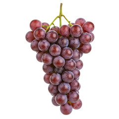 Fototapeta premium grapes bunch. Red grapes with leaves isolated on white background