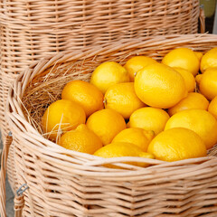 Wicker basket full of ripe yellow lemons. Season, gardening and harvesting time.