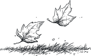 Black and white hand drawn sketch of two leaves falling above grass, representing autumn season and nature.