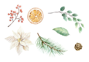 Christmas set of green fir branch, dried orange slice, white poinsettia flower, sprig of red berries, pine cone and eucalyptus. Hand drawn watercolor pastel illustration for New Year cards and banners