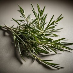Fototapeta premium Tarragon sprigs isolated on clean white studio background.
