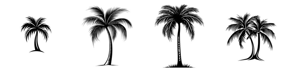 The image of a lone palm tree is one of simplicity and elegance, set against a white background with its silhouette on full display, evoking feelings of a tropical paradise and tranquility