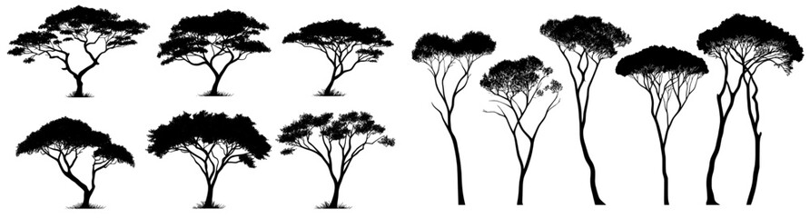 Obraz premium A modern set featuring silhouettes of different deciduous trees on a white PNG background is available