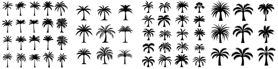 Fototapeta premium Palm Tree Icons is a collection of five distinct palm tree icons, depicted in a minimalist black silhouette style, perfect for tropical-themed designs and branding