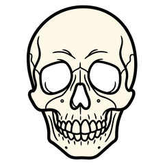 Skeleton Design