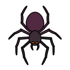 Spooky Spider