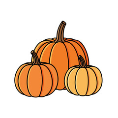 Refined Pumpkin Designs