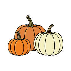 Pumpkin Designs