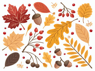 September Autumn Leaves and Acorns, Top View on Minimal Background