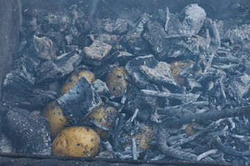 Potato tubers baked in ashes and coals. Potato tubers baked in coals symbolize the simplicity and naturalness of eating in nature. Natural rustic food, cooked without dishes and spices.