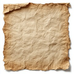 Single Sheet of Crumpled Brown Paper